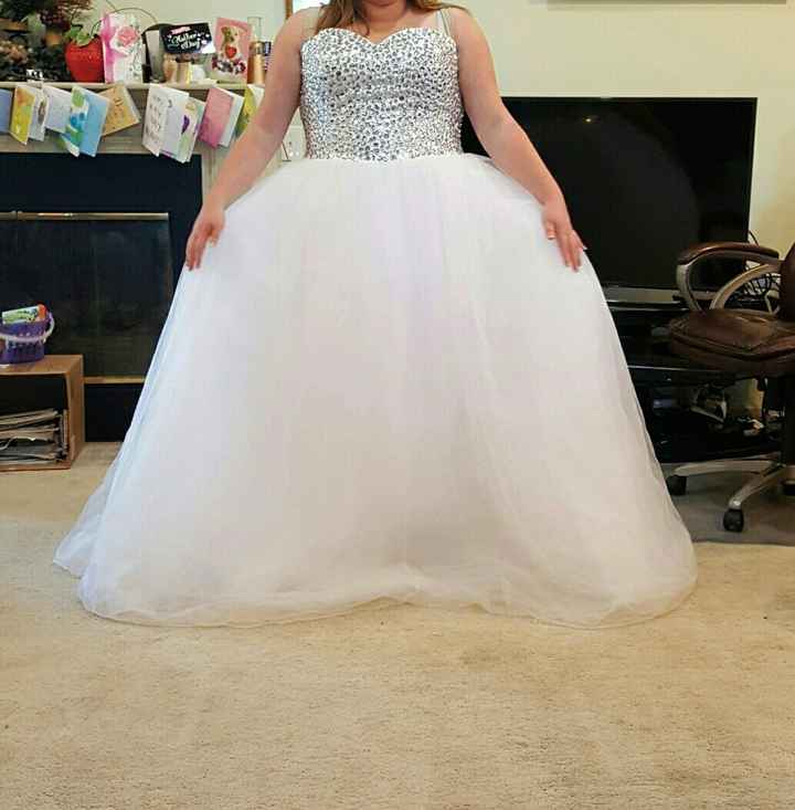 Dress finally came!