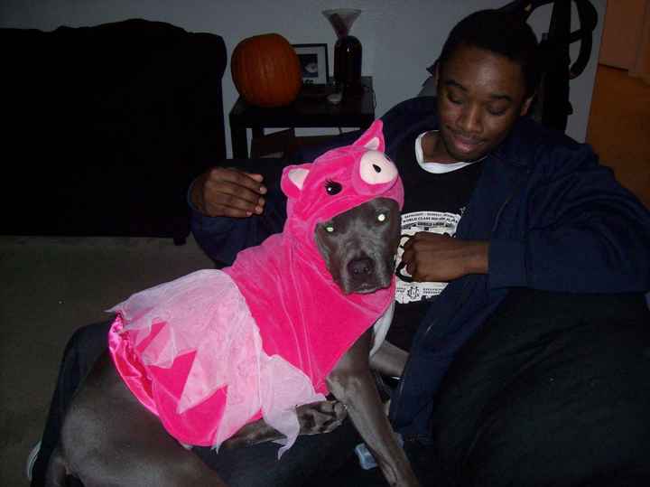 NWR: pets in costumes!!