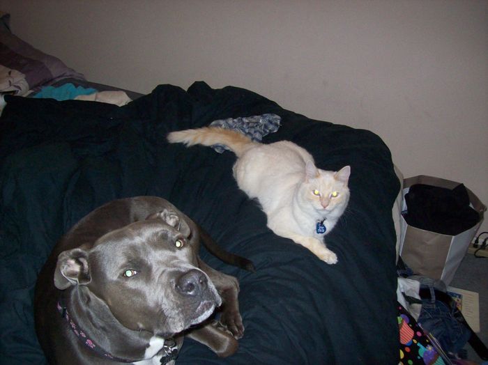 NWR- who has adopted their animals??
