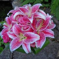 Is your bouquet neutral/ivory or bolder colors? Show me!