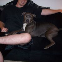 NWR - Paying it Forward to animals in need - IT WORKED