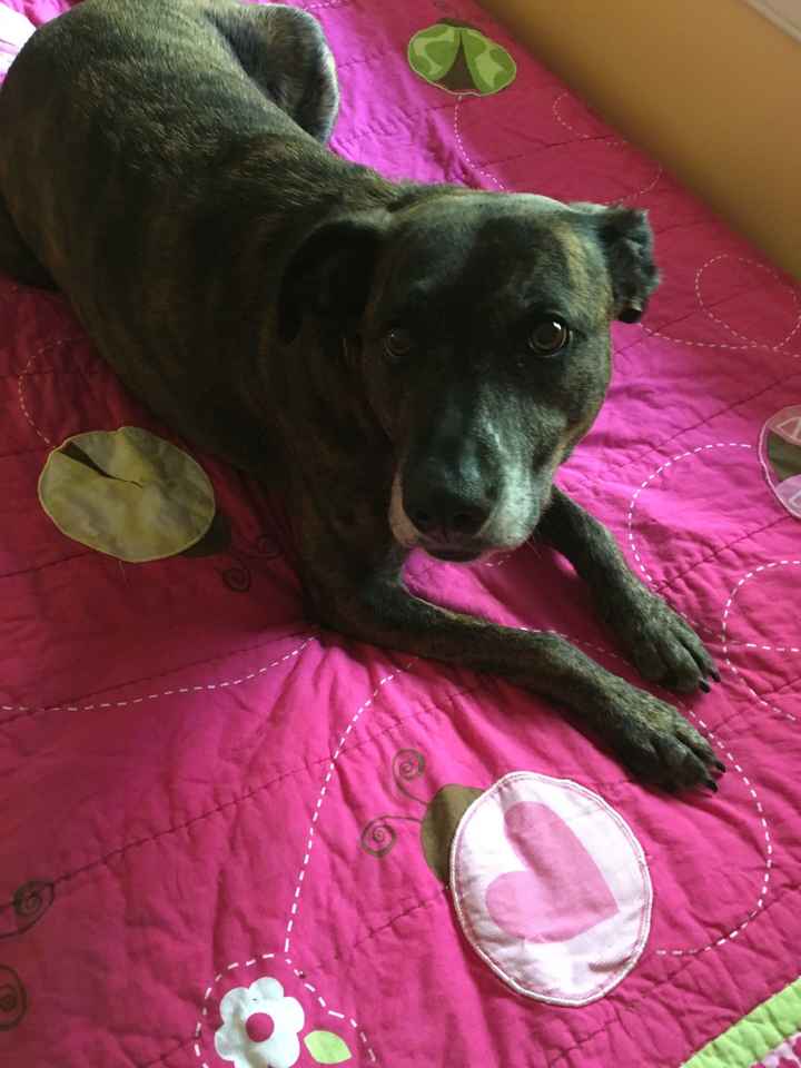 NWR: Show me your fur babies