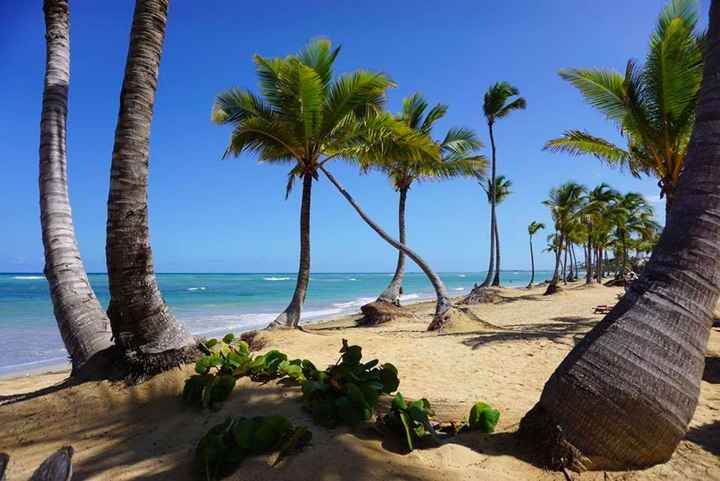 Excellence El Carmen