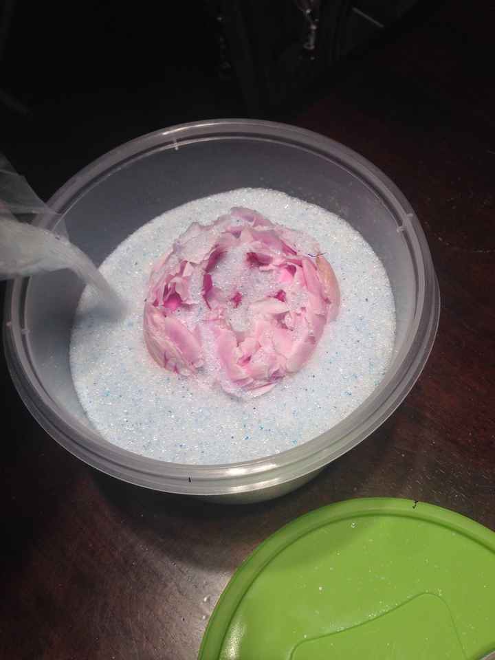 Has anyone preserved flowers?