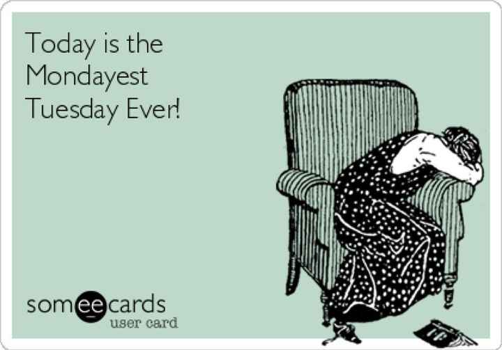 Because it's the middle of Wednesday ... MEME