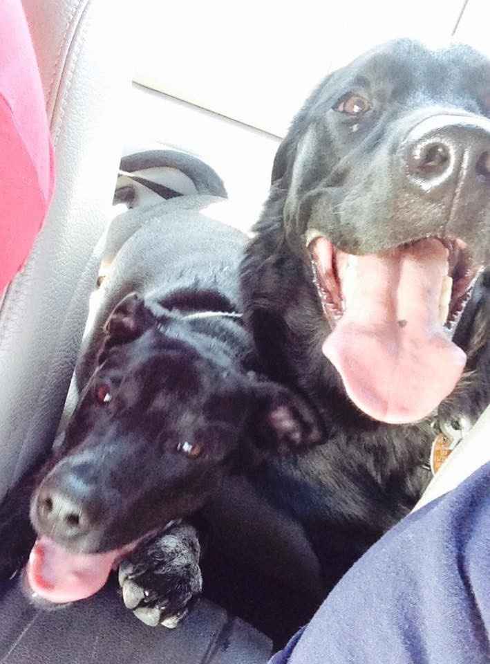 Its Fursday! Show me your furbabies! :)