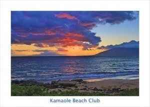 Honeymoon booked!