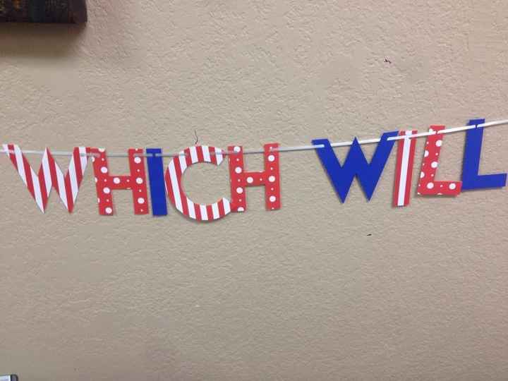 NWR - everything is coming along great for my sister's baby's gender reveal party!