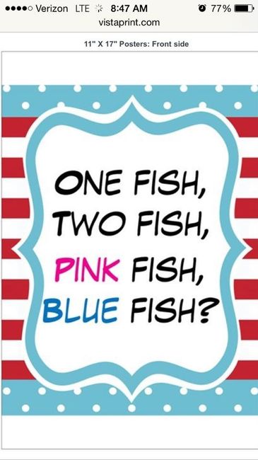 NWR - everything is coming along great for my sister's baby's gender reveal party!