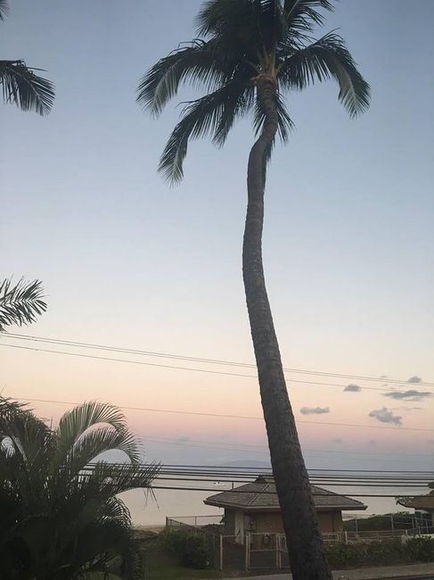 Some Maui honeymoon fun