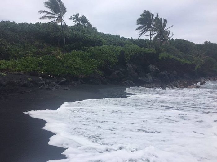 Some Maui honeymoon fun