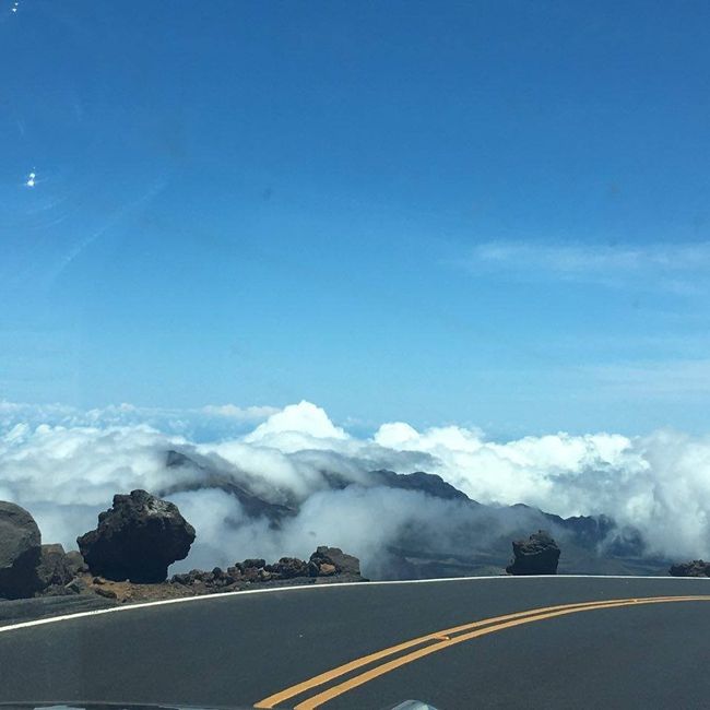 Some Maui honeymoon fun