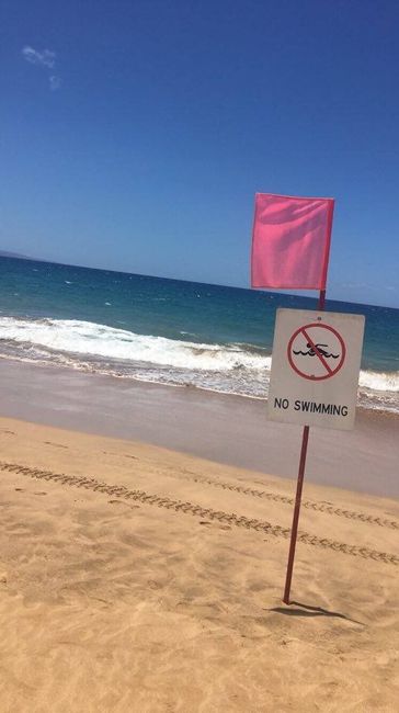 Some Maui honeymoon fun
