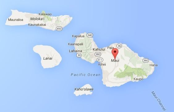 Some Maui honeymoon fun