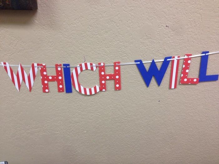 NWR - everything is coming along great for my sister's baby's gender reveal party!