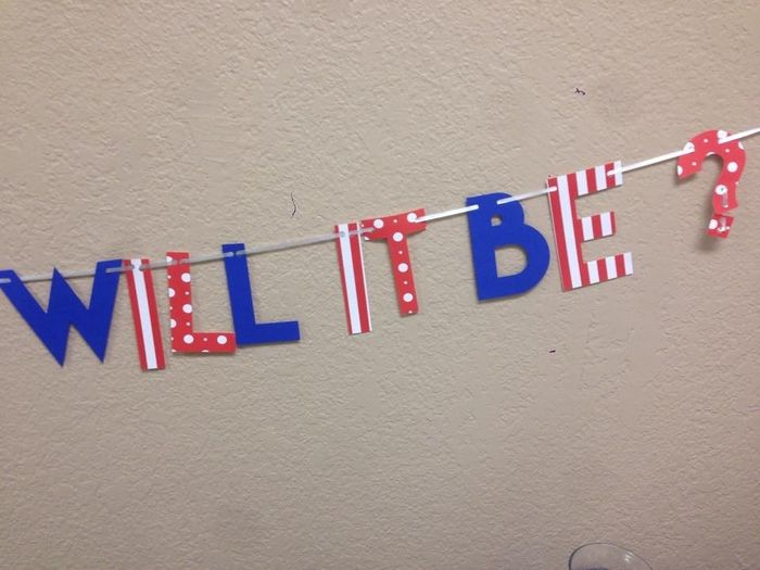 NWR - everything is coming along great for my sister's baby's gender reveal party!