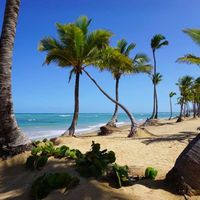 Excellence El Carmen