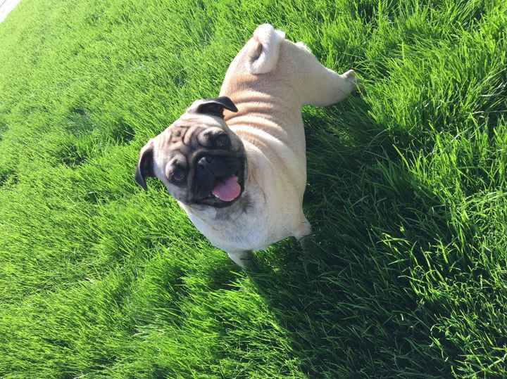 NWR: Show me your pups!