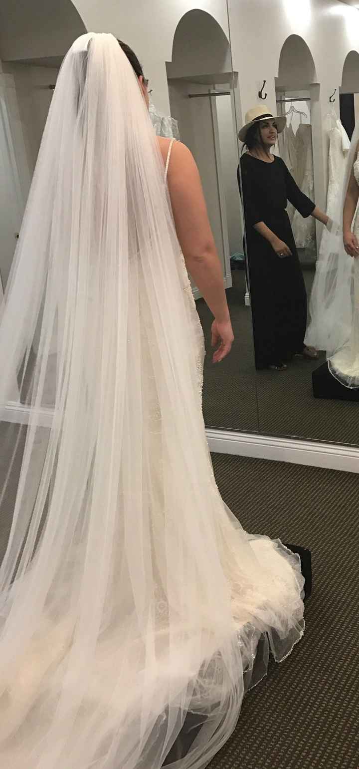 1 month until my fitting! Which veil??