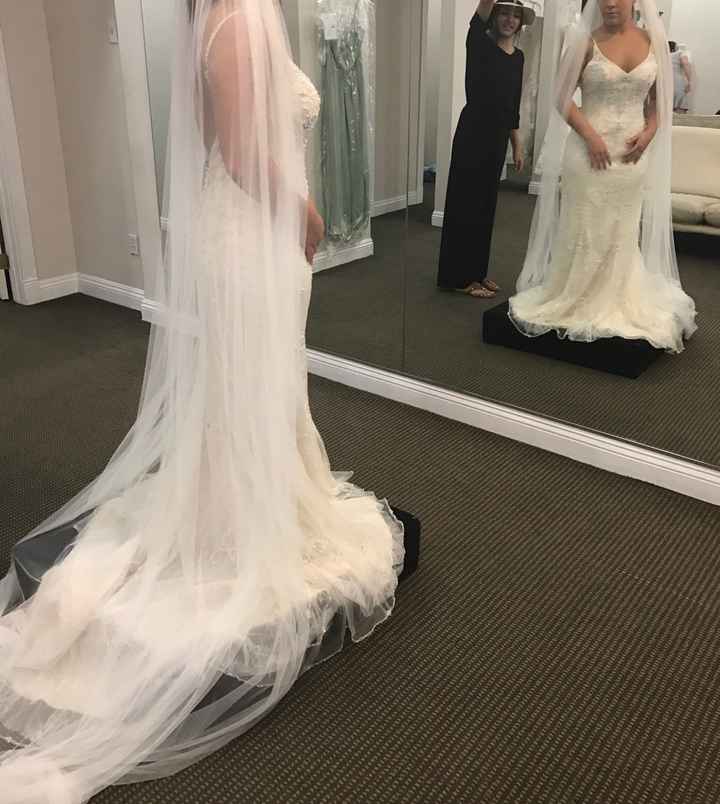 1 month until my fitting! Which veil??