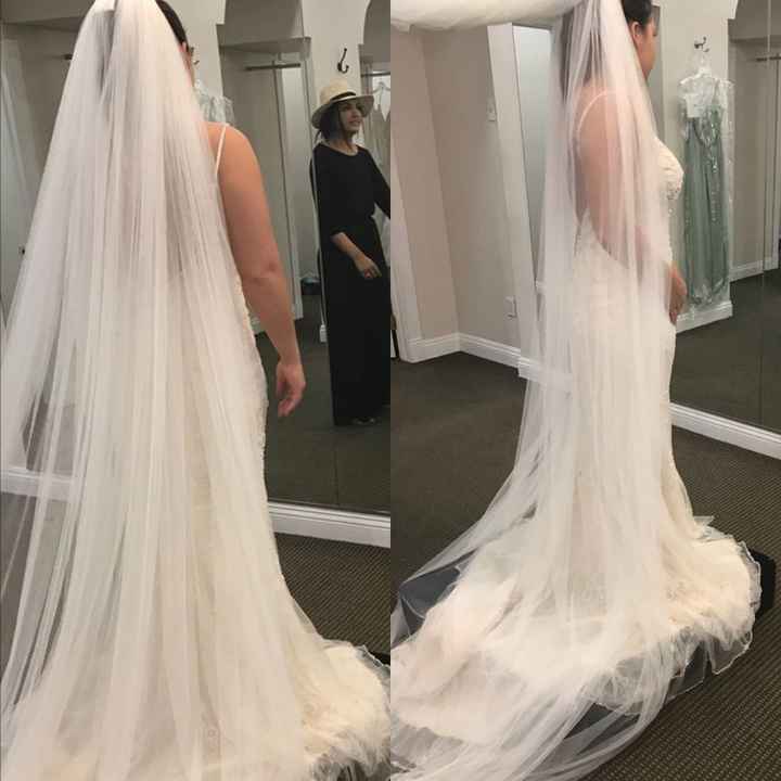 1 month until my fitting! Which veil??