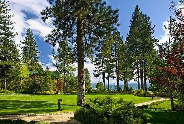 Show me your venue and dress! - 1