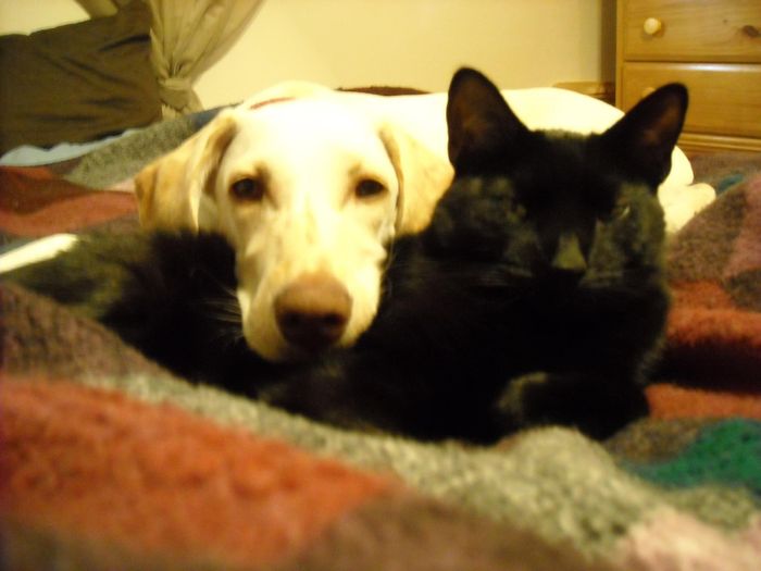 NWR Happy Fursday! Show me your fur babies!