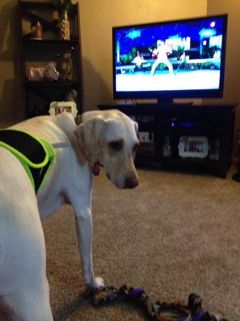 NWR Happy Fursday! Show me your fur babies!