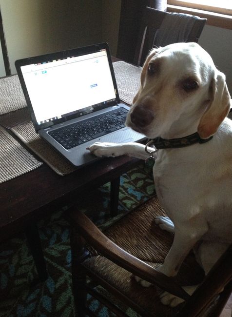 Dear Remi and Killian: