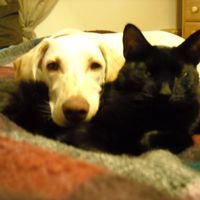 NWR Happy Fursday! Show me your fur babies!