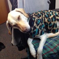 NWR Happy Fursday! Show me your fur babies!