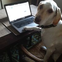 Dear Remi and Killian: