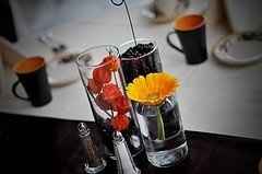Question about my coffee bean center pieces!?!?!