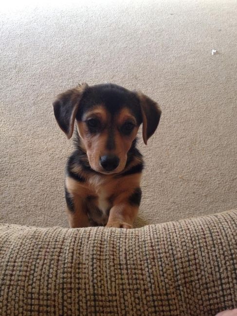 NWR - Spin off of Puppies post...
