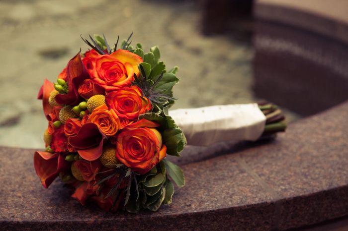 For those of you considering Sam's Club for flowers....