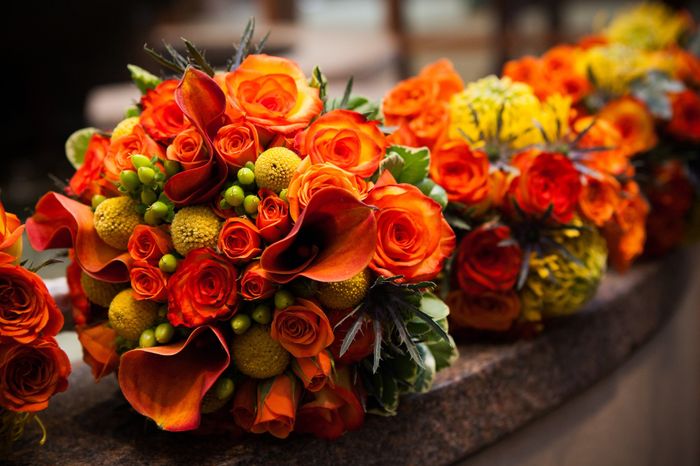 For those of you considering Sam's Club for flowers....