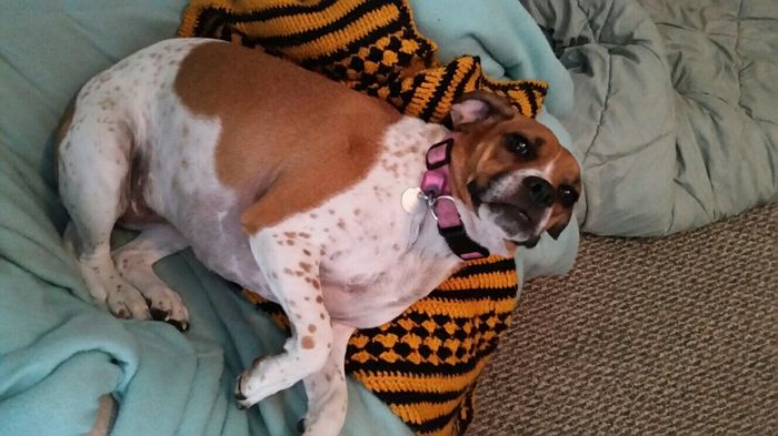 NWR:  Thursday Fursday