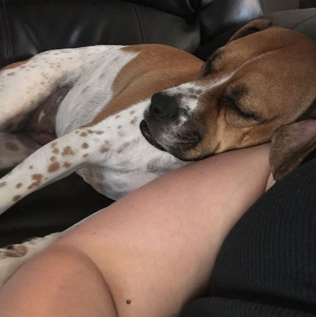 Spinoff: Show us your rescues!