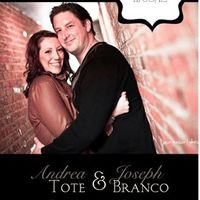 November 2012 brides!!