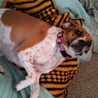 NWR:  Thursday Fursday