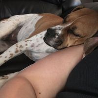 Spinoff: Show us your rescues!