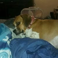 NWR: How could you even consider it?