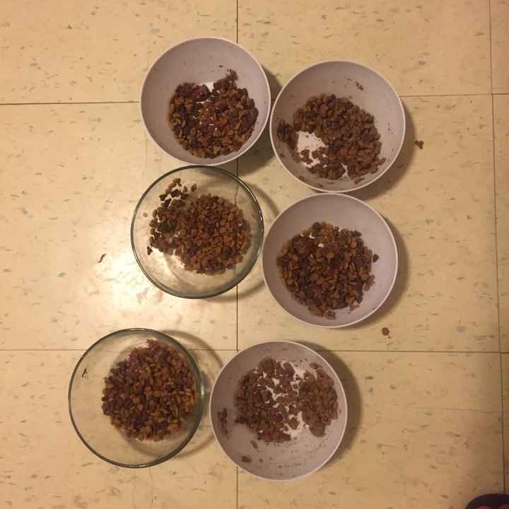 KWR- What do you do that annoys your FH?