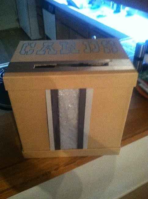 DIY Cardbox
