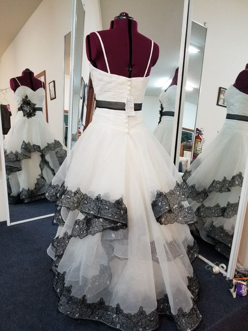 Show me your Bustles! - 2