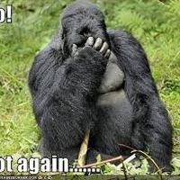 Omg I love Honeyfund!