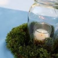 need centerpiece help