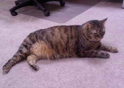 NWR: Show off your fur baby!