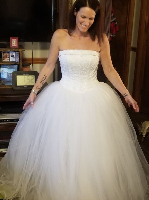 Wedding Dress under $600? Where did you find a steal of a deal at? - 1