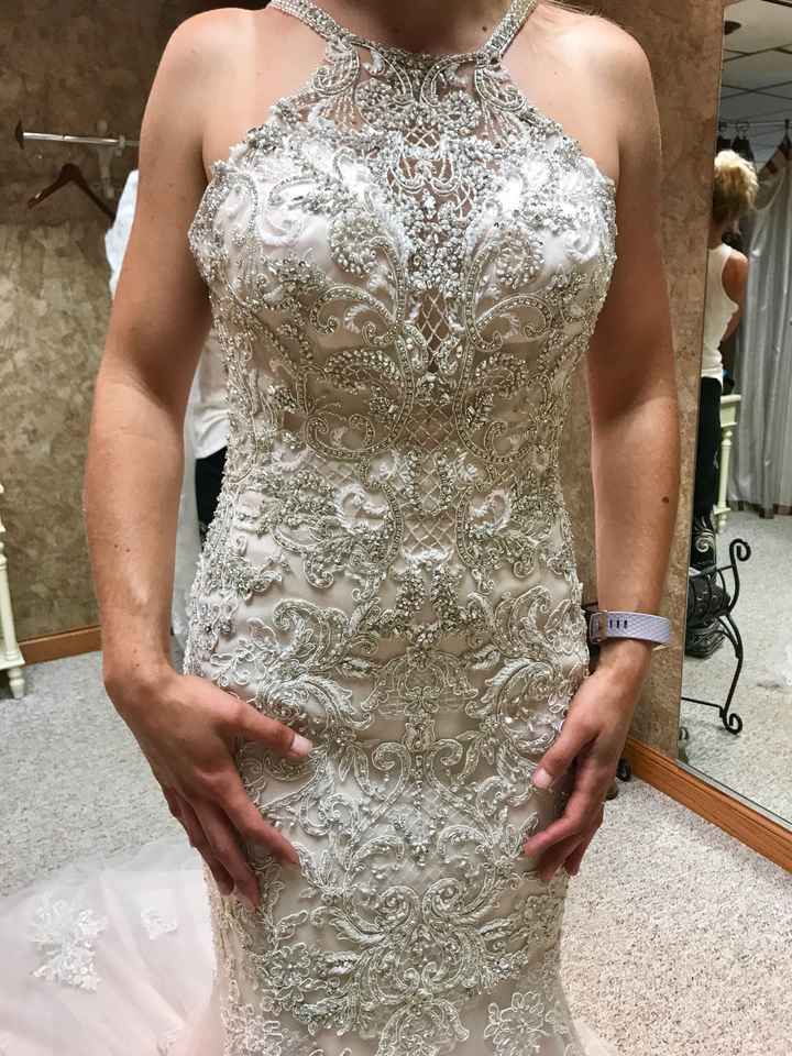 My Dress is in!!!  Questions? - 3